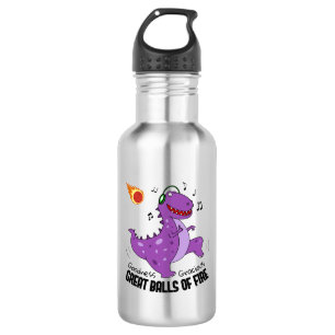 Great Balls Of Fire Dinosaur Meteor 532 Ml Water Bottle