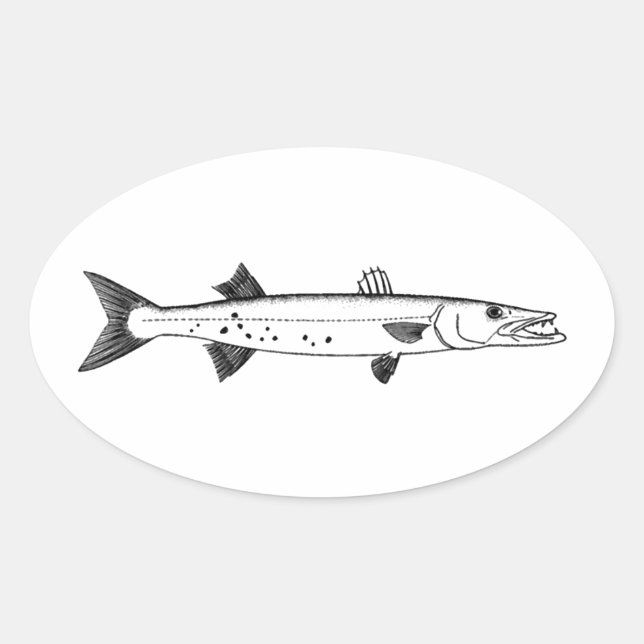 Great Barracuda Logo Oval Sticker (Front)