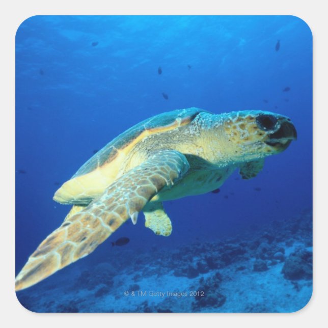 Great Barrier Reef, Australia 2 Square Sticker (Front)