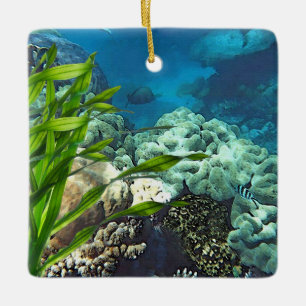 Great Barrier Reef Ceramic Tree Decoration