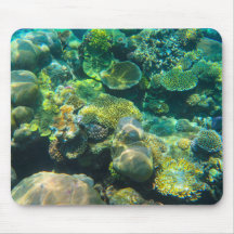 Great Barrier Reef Coral - #2