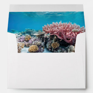 Great Barrier Reef Envelope Liner Return Address