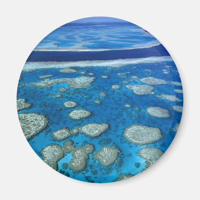 Great Barrier Reef Magnet (Front)