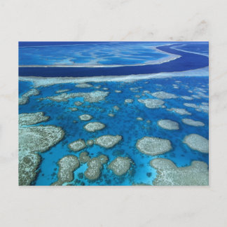 Great Barrier Reef Marine Park Queensland AU Postcard