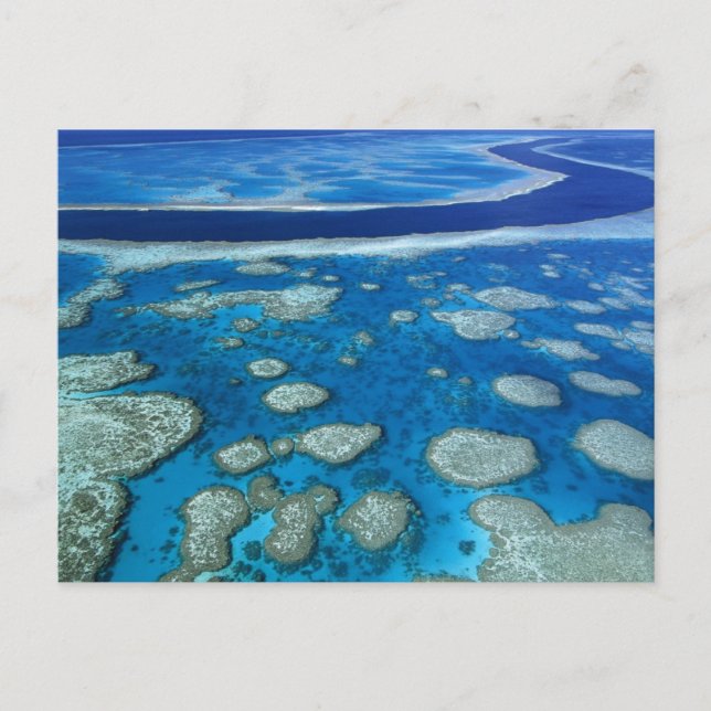 Great Barrier Reef Marine Park Queensland AU Postcard (Front)