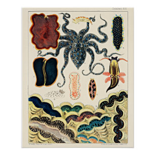 Great Barrier Reef of Australia Poster