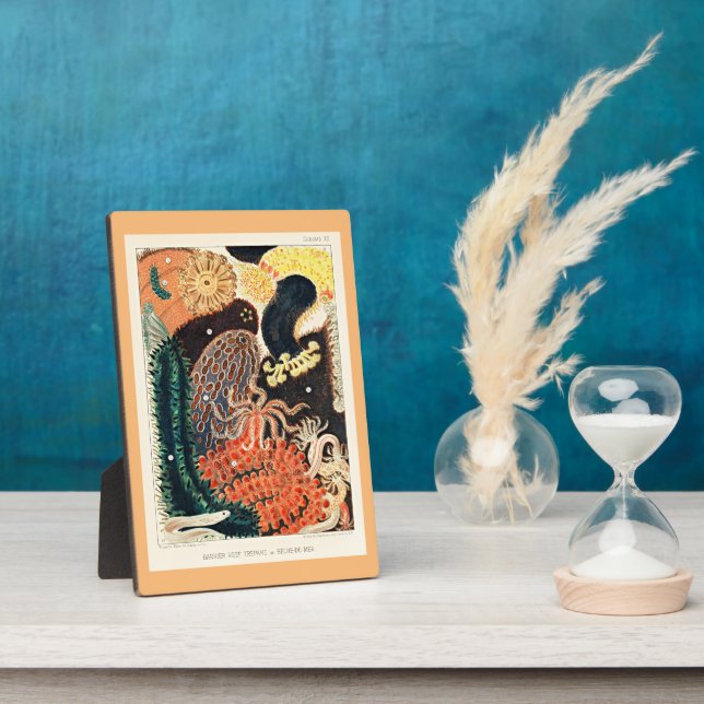 Great Barrier Reef of Australia, Trepang, Plaque (Side)