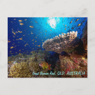 Great Barrier Reef Postcard