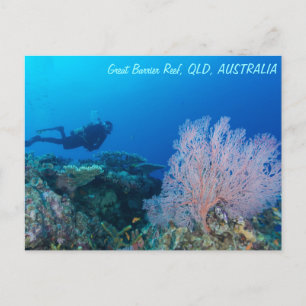 Great Barrier Reef Postcard