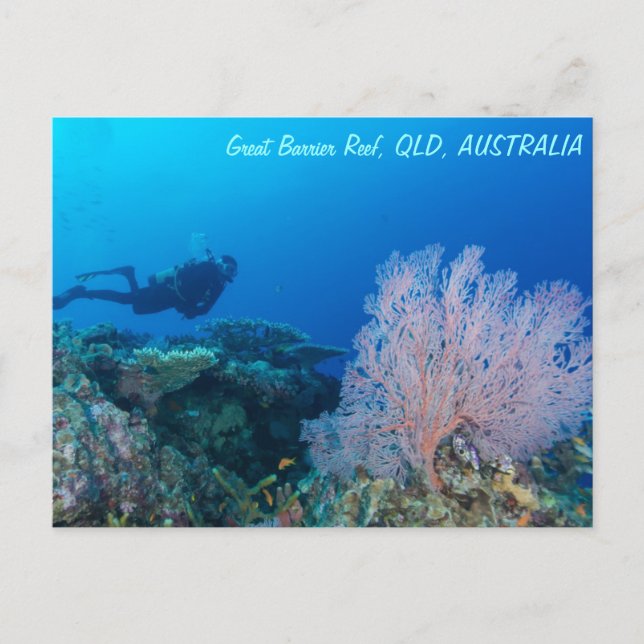 Great Barrier Reef Postcard (Front)