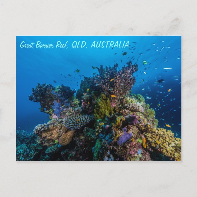 Great Barrier Reef Postcard (Front)