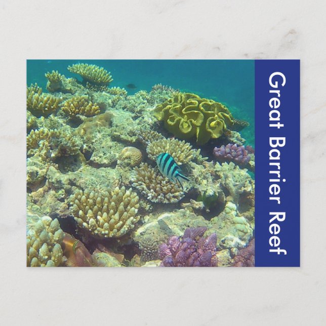 great barrier reef postcard (Front)