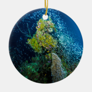 Great Barrier Reef Tropical Fish Coral Sea Ceramic Tree Decoration