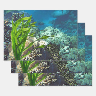 Great Barrier Reef Wrapping Paper Sheet