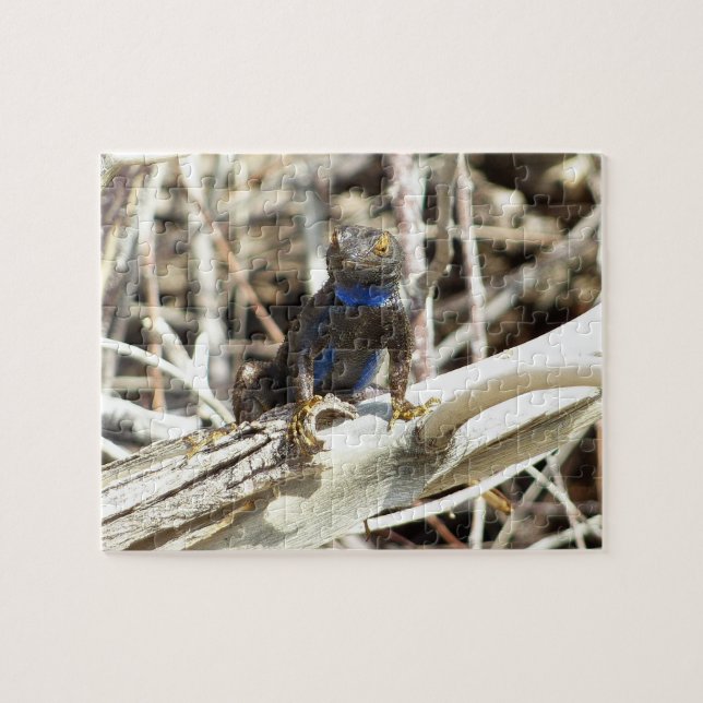Great Basin Fence Lizard at Joshua Tree Jigsaw Puzzle (Horizontal)