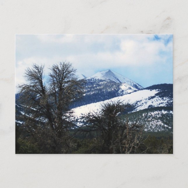 Great Basin National Park Postcard (Front)