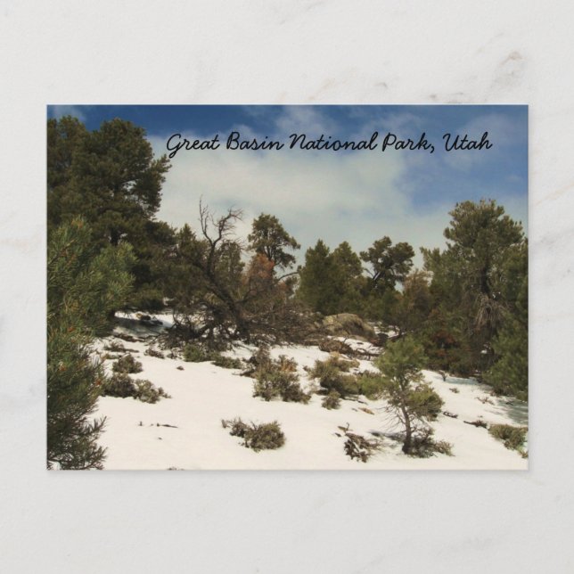 Great Basin National Park, Utah Postcard (Front)