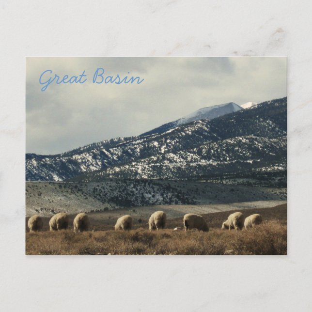 Great Basin Postcard (Front)