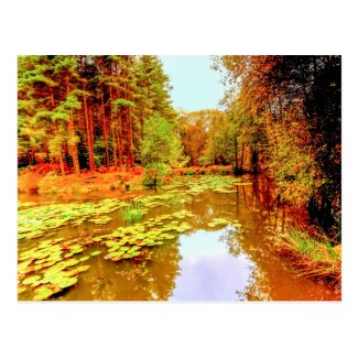Great Berry Pond Postcard