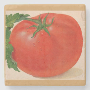 great BIG juicy tomato Stone Coaster