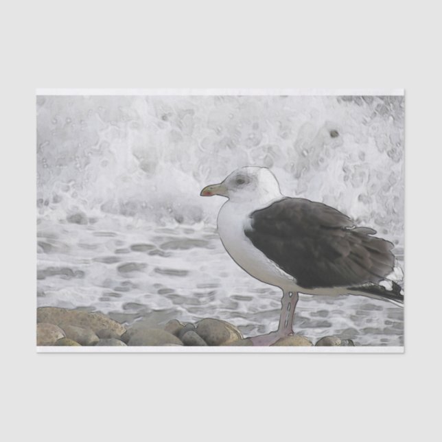 Great Black-Backed Gull Tissue Paper (Front)