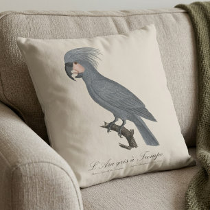 Great Black Palm Cockatoo, Probosciger aterrimus Cushion