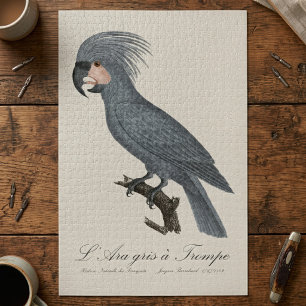 Great Black Palm Cockatoo, Probosciger aterrimus Jigsaw Puzzle