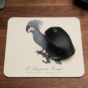 Great Black Palm Cockatoo, Probosciger aterrimus Mouse Mat