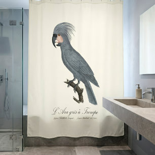 Great Black Palm Cockatoo, Probosciger aterrimus Shower Curtain