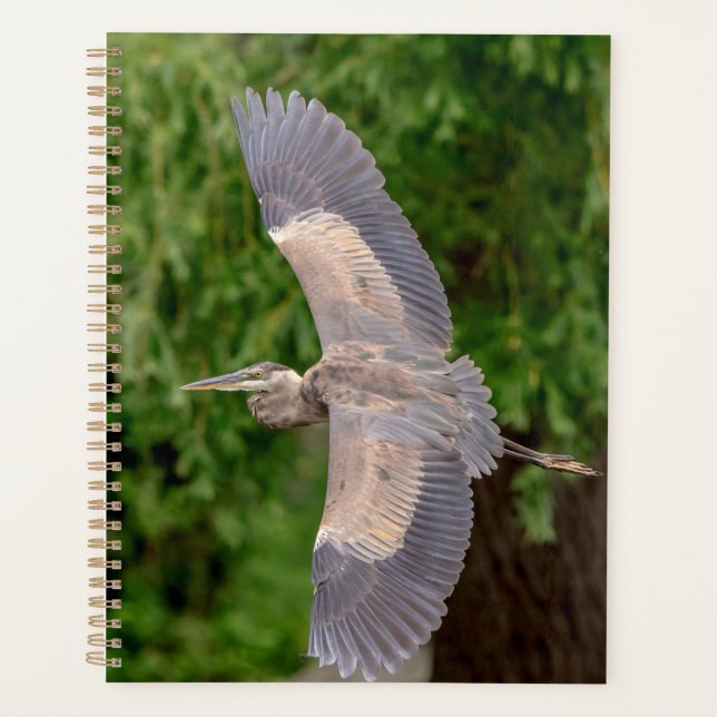 Great Blue Heron 2024 Planner (Front)
