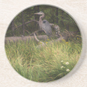 Great Blue Heron 8917 Coaster
