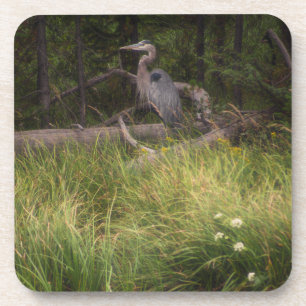 Great Blue Heron 8917 Coaster