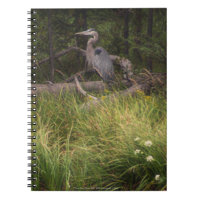 Great Blue Heron 8917 Notebook (Front)