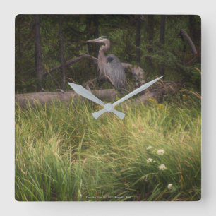 Great Blue Heron 8917 Square Wall Clock