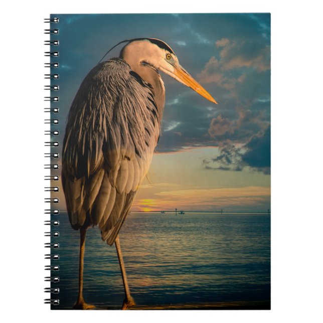 Great Blue Heron and Blue Sunset Notebook (Front)