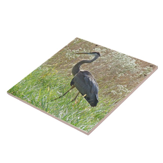 Great Blue Heron - Ardea herodias - #2 Tile (Side)