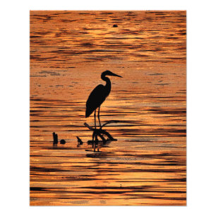 Great Blue Heron at Sunset Photo Print