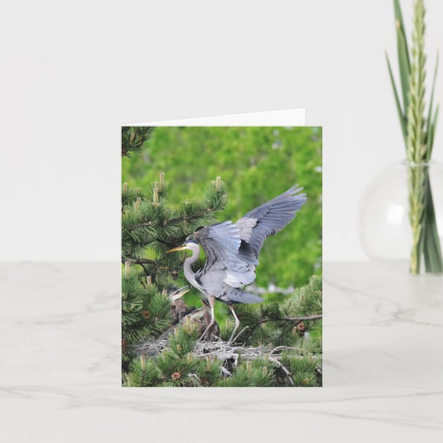 Great Blue Heron & Babies! Card (Front)