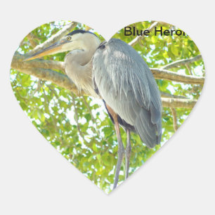 Great blue Heron bird Heart Sticker