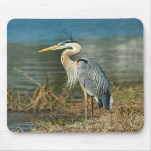 Great Blue Heron Bird Mousepad