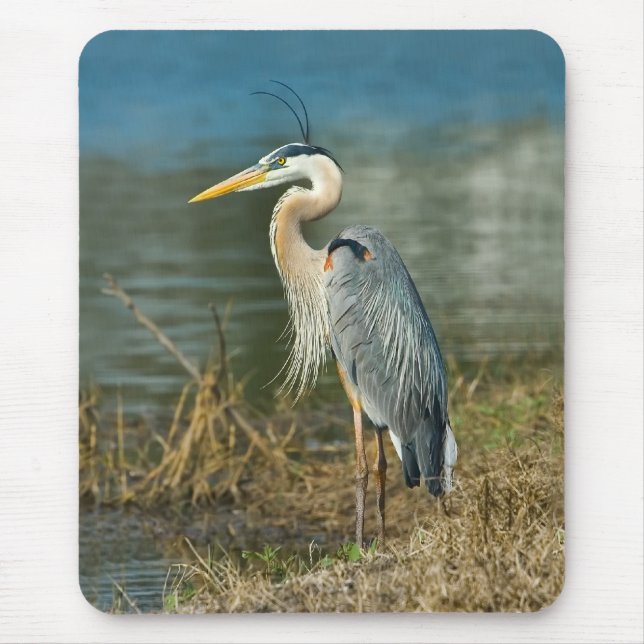 Great Blue Heron Bird Mousepad (Front)