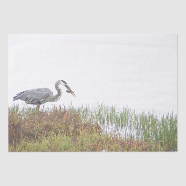 Great Blue Heron Bird Wildlife Fish Tissue Paper (Front)