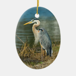 Great Blue Heron Bird Wildlife Ornament