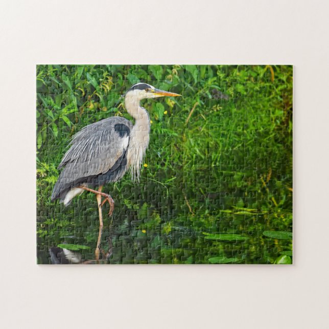 Great Blue Heron Bird Wildlife Photo Jigsaw Puzzle (Horizontal)