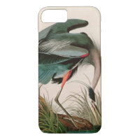 Great Blue Heron Birds of America Audubon Print