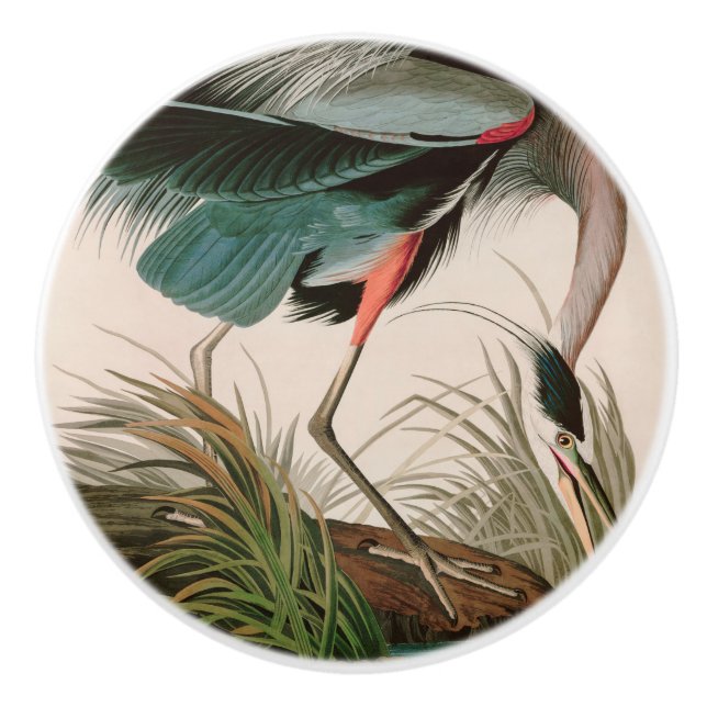 Great Blue Heron Birds of America Audubon Print Ceramic Knob (Front)
