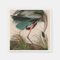 Great Blue Heron Birds of America Audubon Print