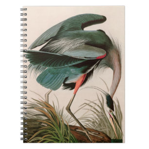 Great Blue Heron Birds of America Audubon Print Notebook