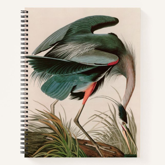 Great Blue Heron Birds of America Audubon Print Notebook (Front)