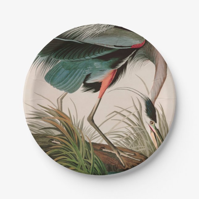 Great Blue Heron Birds of America Audubon Print Paper Plate (Front)